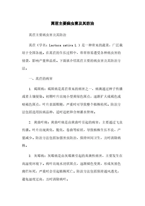 莴苣主要病虫害及其防治