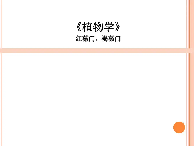 植物学2011-藻类2