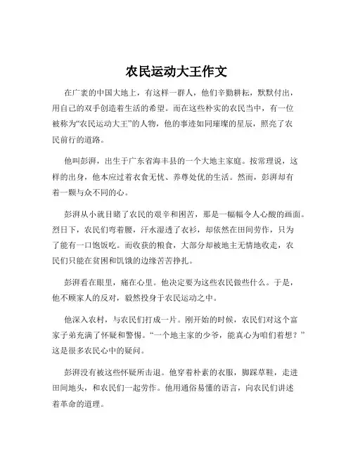 农民运动大王作文