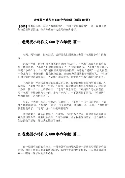 老鹰捉小鸡作文600字六年级(精选10篇)