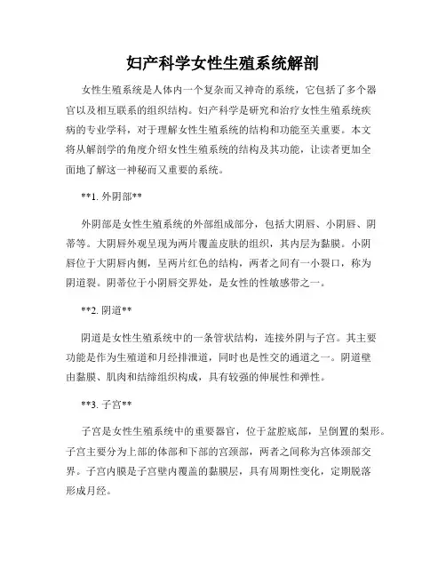 妇产科学女性生殖系统解剖