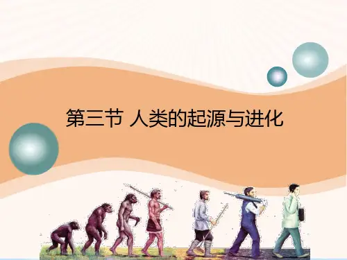 《人类的起源和进化》PPT【优质课件】