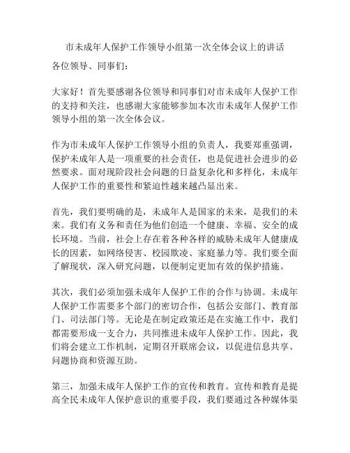 市未成年人保护工作领导小组第一次全体会议上的讲话