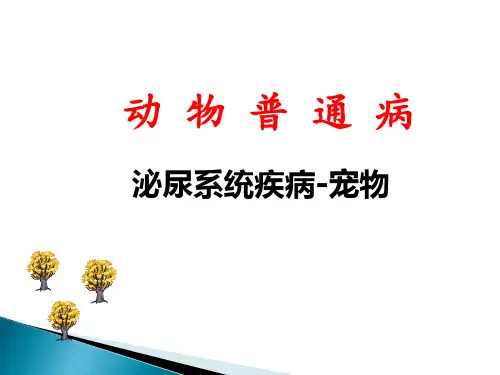 动物普通病-泌尿系统疾病-宠物