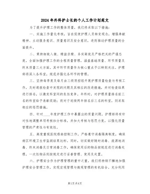 2024年外科护士长的个人工作计划范文（2篇）