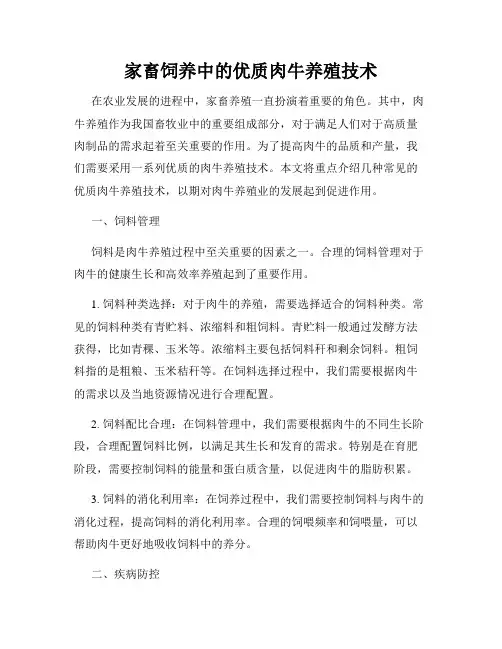 家畜饲养中的优质肉牛养殖技术