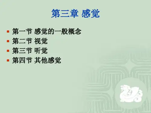 普通心理学 感觉