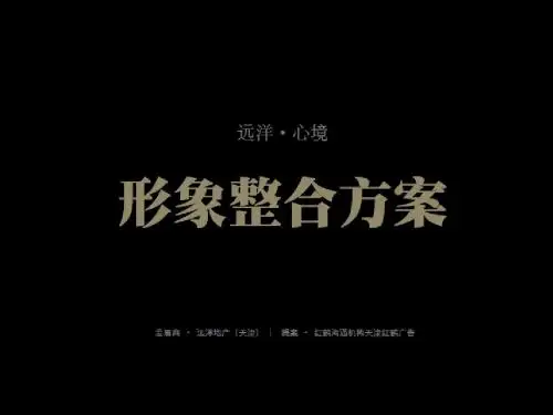 DCYX红鹤沟通-远洋心境2011年整合方案