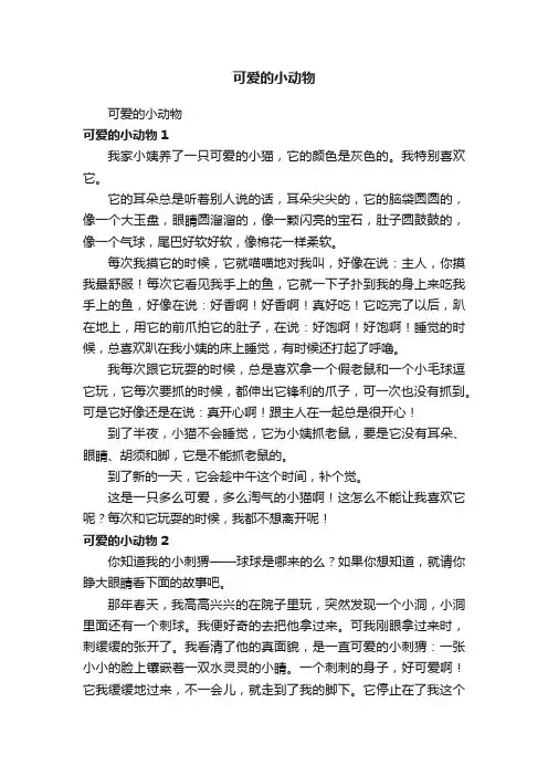 可爱的小动物