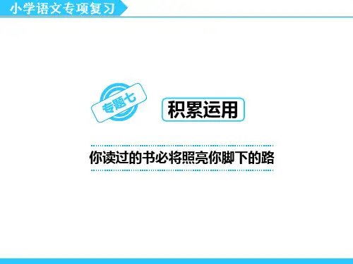小升初(期末考试)语文专题复习资料专题七  积累与运用