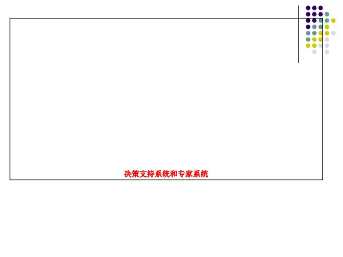 决策支持系统和专家系统