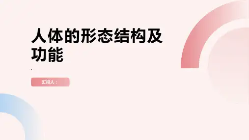 人体的形态结构及功能