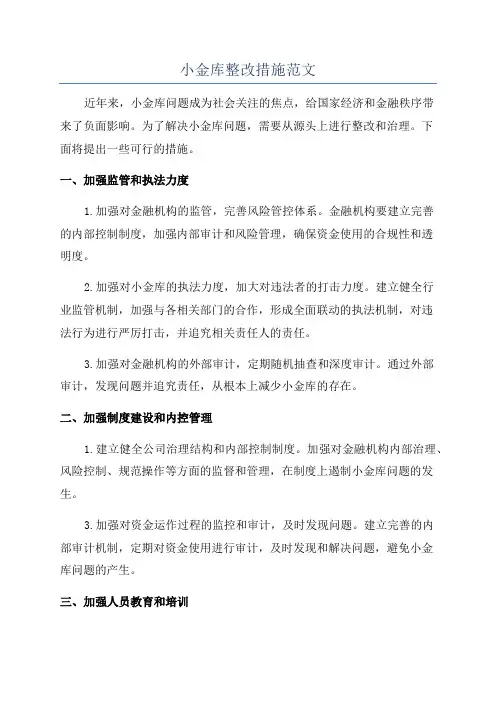 小金库整改措施范文