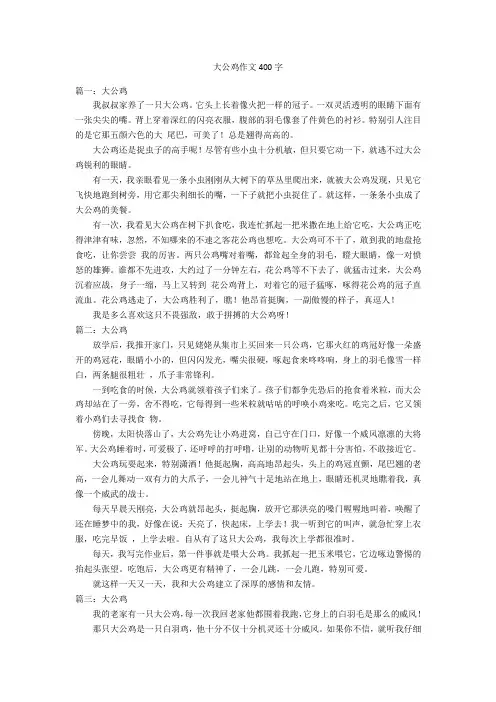 大公鸡作文400字优秀作文