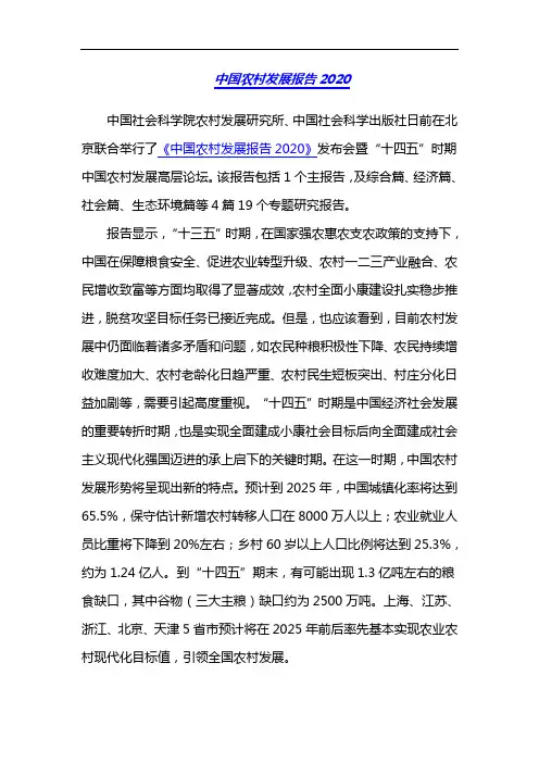 中国农村发展报告2020