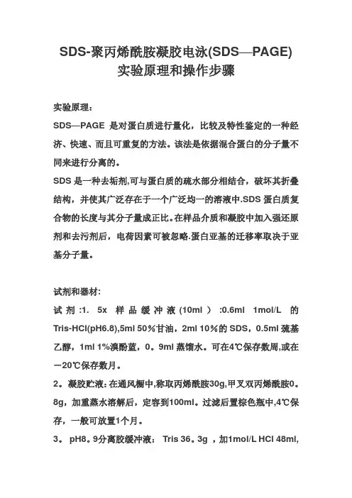 SDS-聚丙烯酰胺凝胶电泳(SDS-PAGE)实验原理和操作步骤
