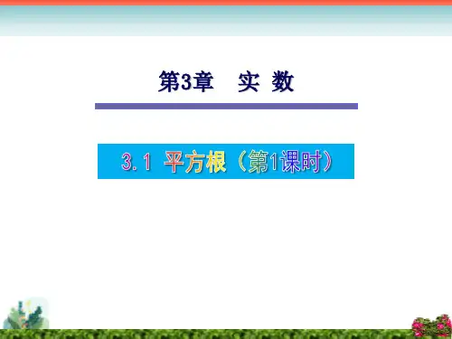 湘教版八年级数学上册第3章实数全章课件