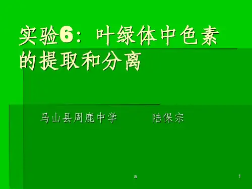 实验八：叶绿体中色素的提取和分离(整理)