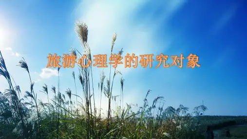 旅游心理学的研究对象