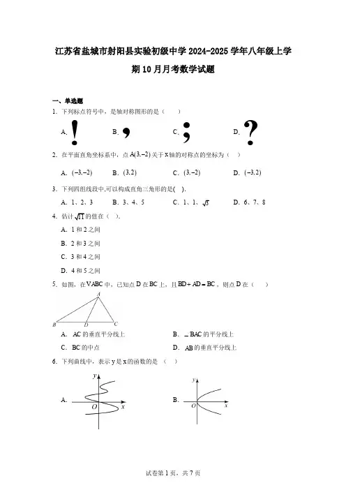 江苏省盐城市射阳县实验初级中学2024-2025学年八年级上学期10月月考数学试题