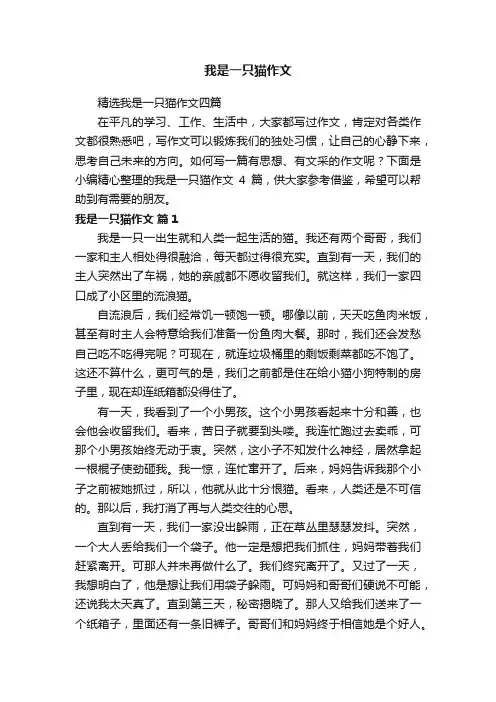 精选我是一只猫作文四篇