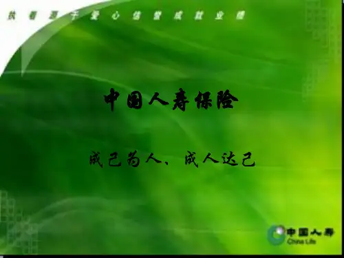 中国人寿保险