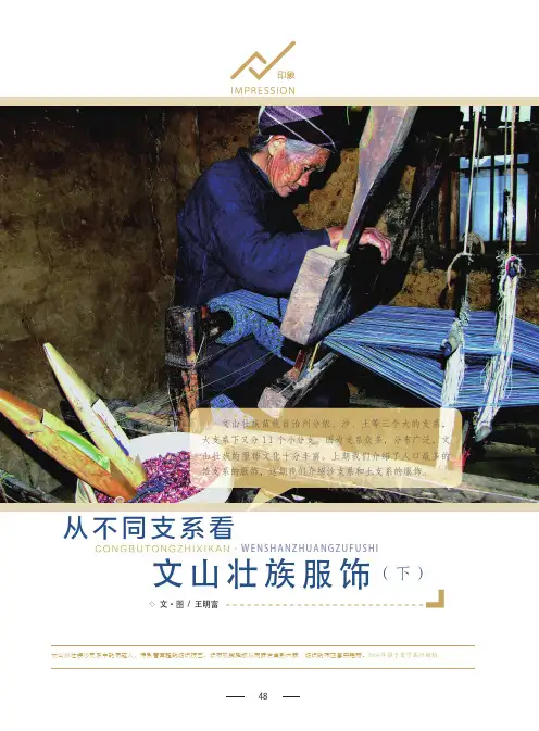 从不同支系看文山壮族服饰(下)