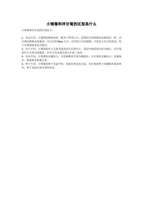 小雏菊和洋甘菊的区别是什么