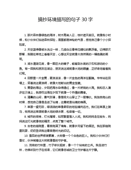 摘抄环境描写的句子30字