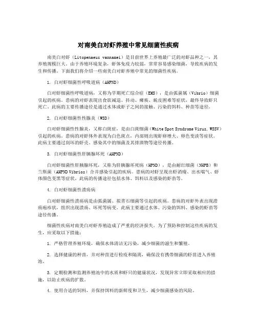 对南美白对虾养殖中常见细菌性疾病