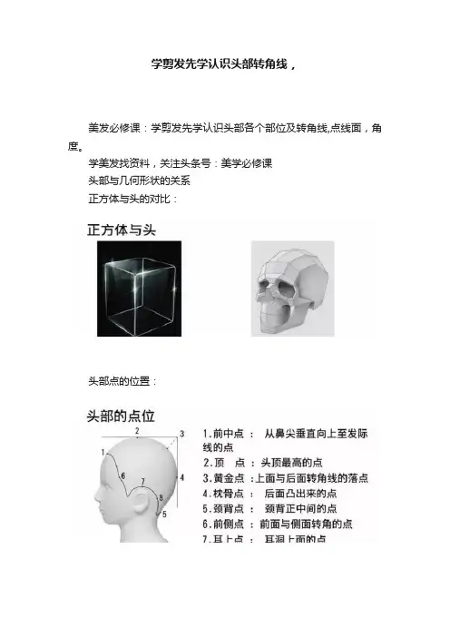 学剪发先学认识头部转角线，