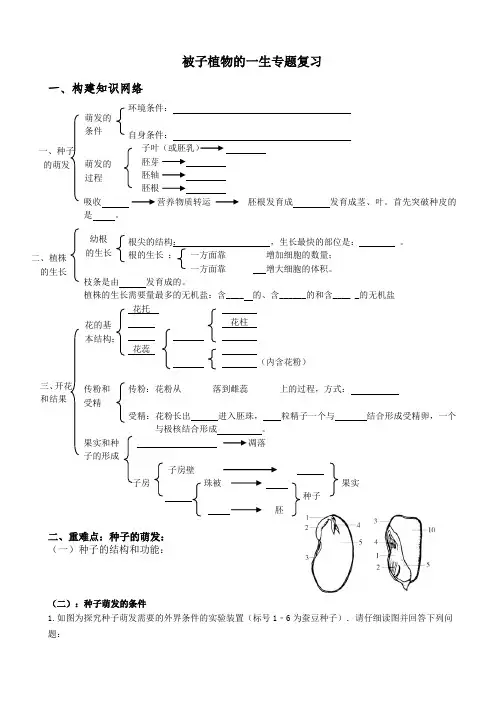被子植物的一生专题复习