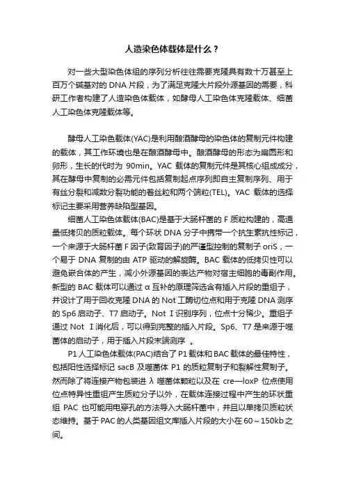 人造染色体载体是什么？