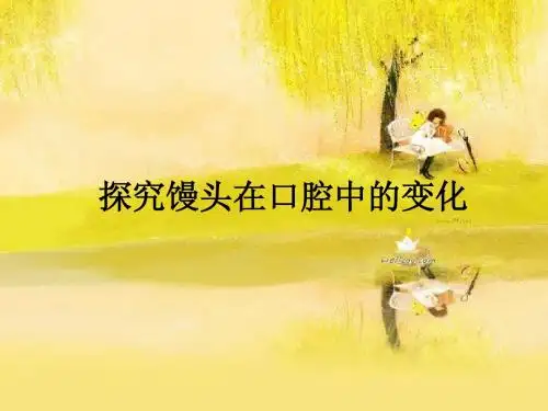 探究馒头在口腔中的变化