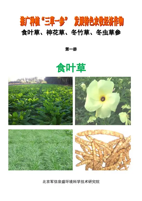“三草一参”发展绿色健康工程北京军信泉盛环境科学技术研究院概述