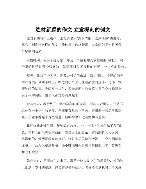 选材新颖的作文 立意深刻的例文