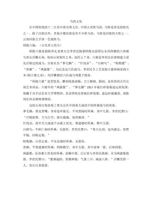 马的文化_精品文档