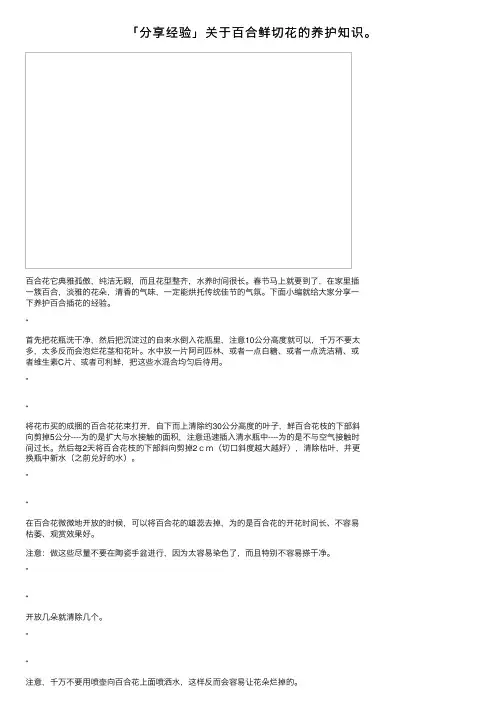 「分享经验」关于百合鲜切花的养护知识。