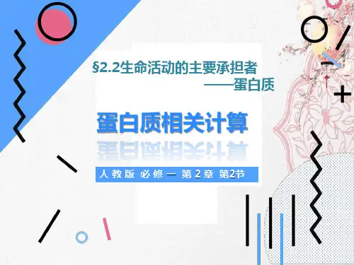 新版蛋白质相关计算(第二课时)(共32张PPT)学习演示PPT课件
