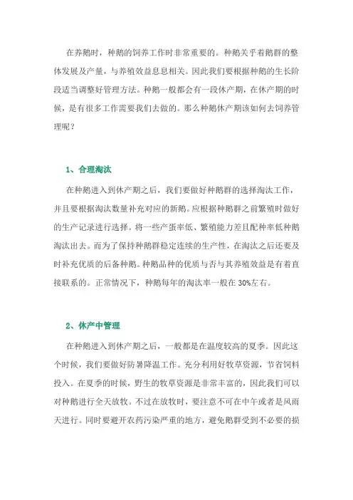 养鹅经验：种鹅休产期的饲养管理