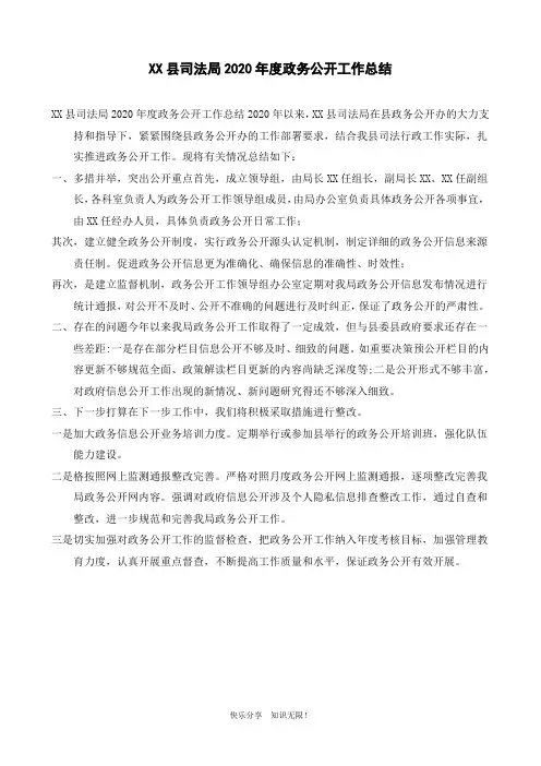 XX县司法局2020年度政务公开工作总结