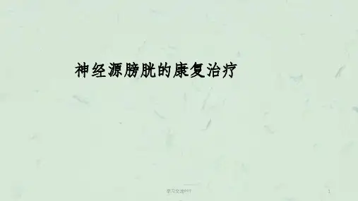 神经源性膀胱康复课件