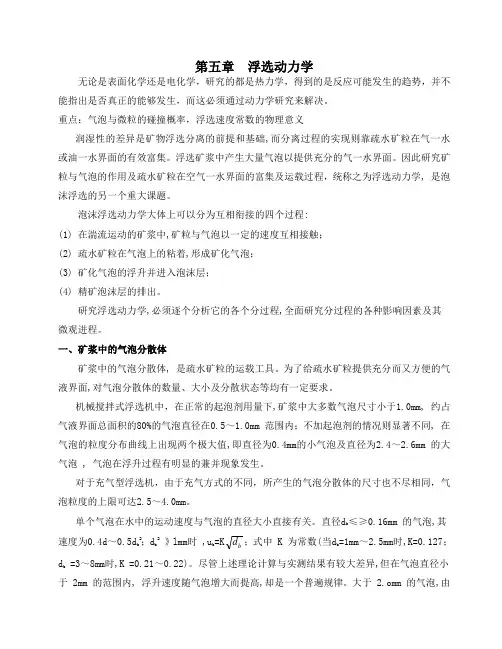 浮选动力学