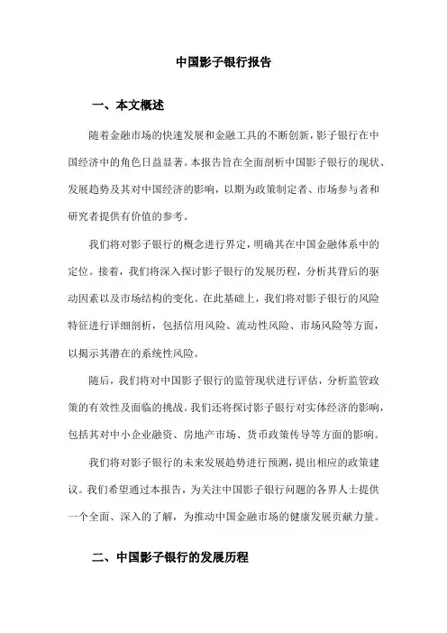 中国影子银行报告