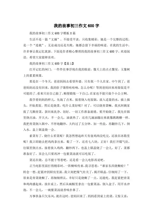 我的故事初三作文600字