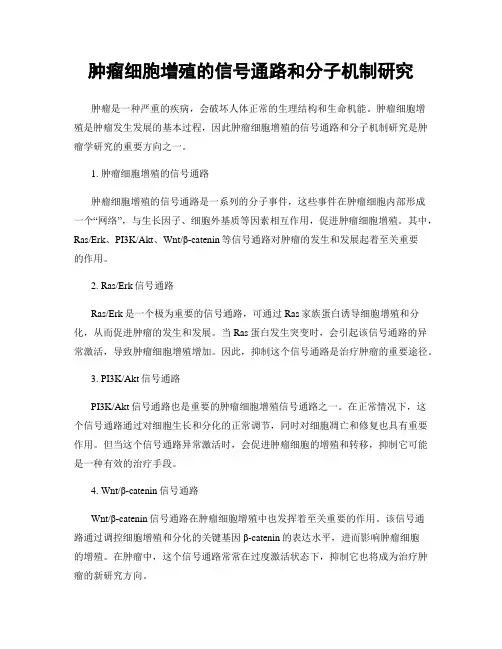 肿瘤细胞增殖的信号通路和分子机制研究