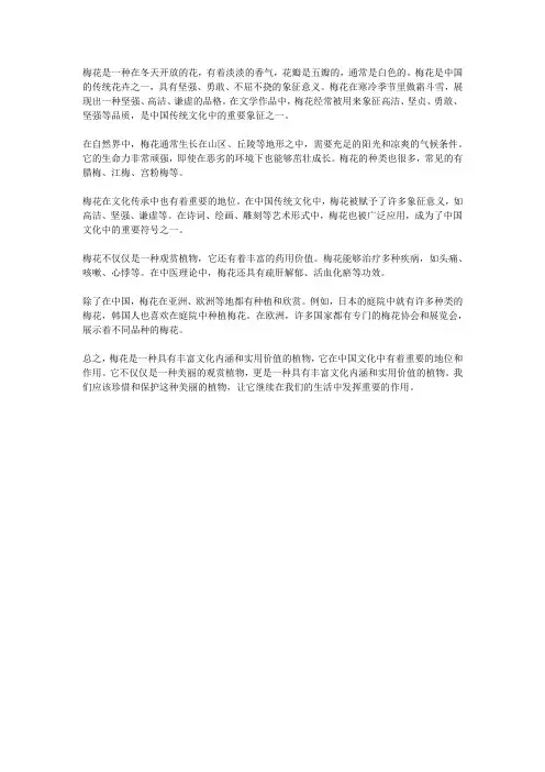 梅花20字介绍