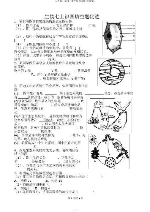人教版七年级上册生物识图题(无答案)