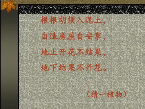 15、落花生PPT课件