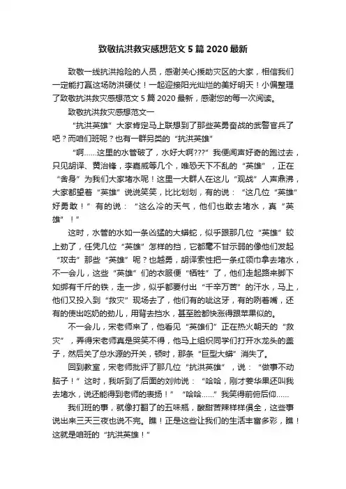 致敬抗洪救灾感想范文5篇2020最新